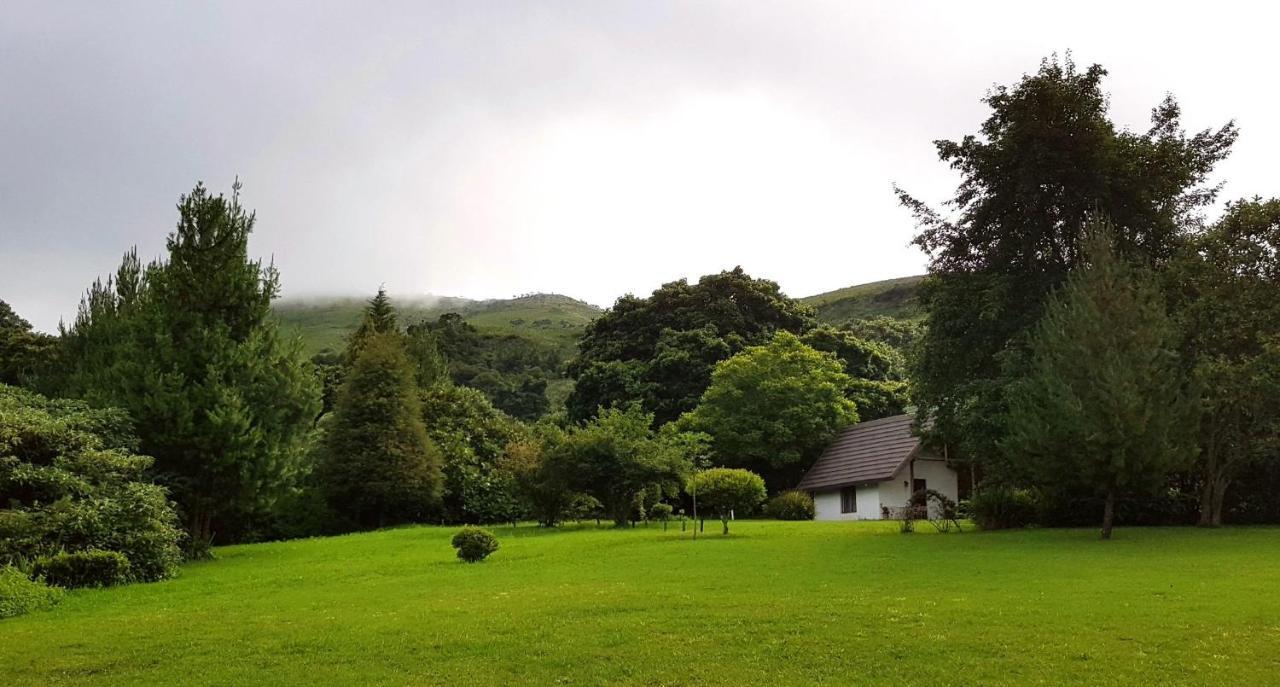Wild Forest Inn Graskop Esterno foto