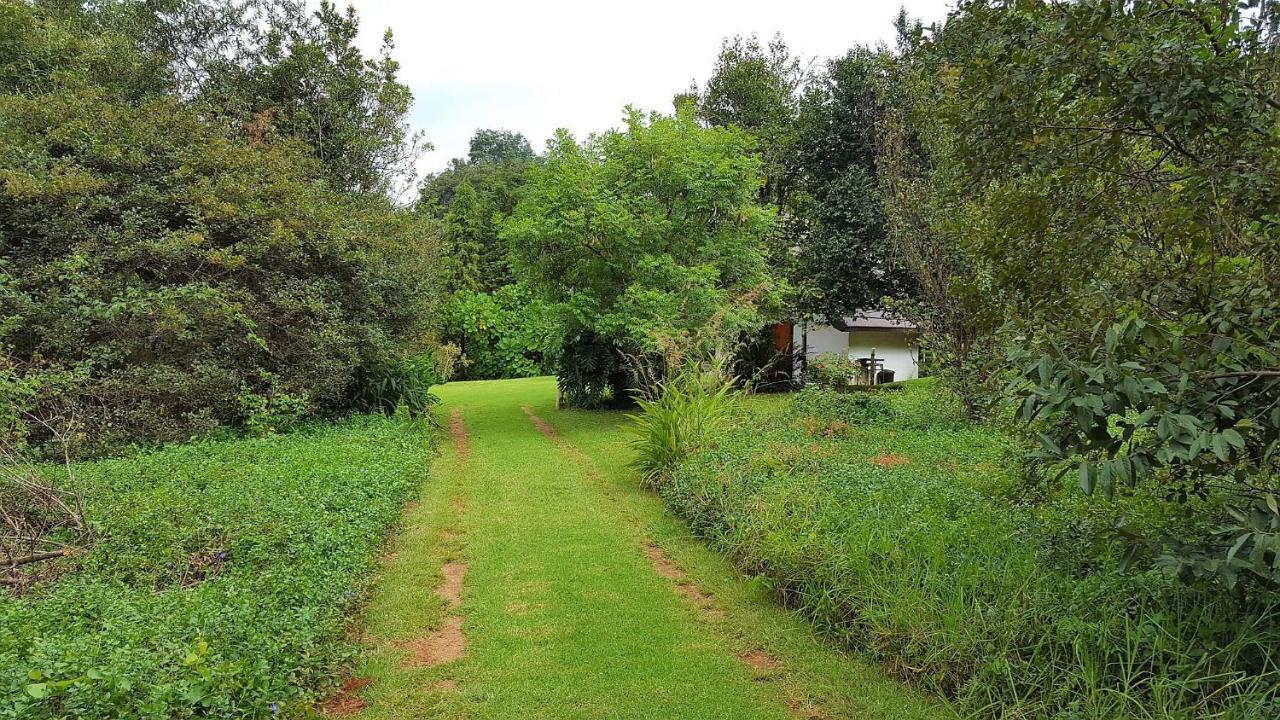 Wild Forest Inn Graskop Esterno foto