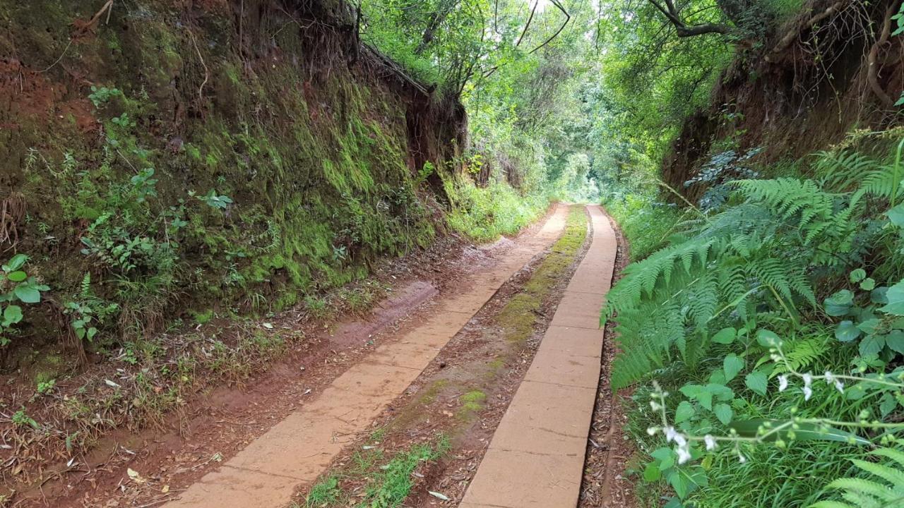 Wild Forest Inn Graskop Esterno foto