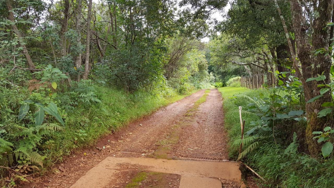 Wild Forest Inn Graskop Esterno foto