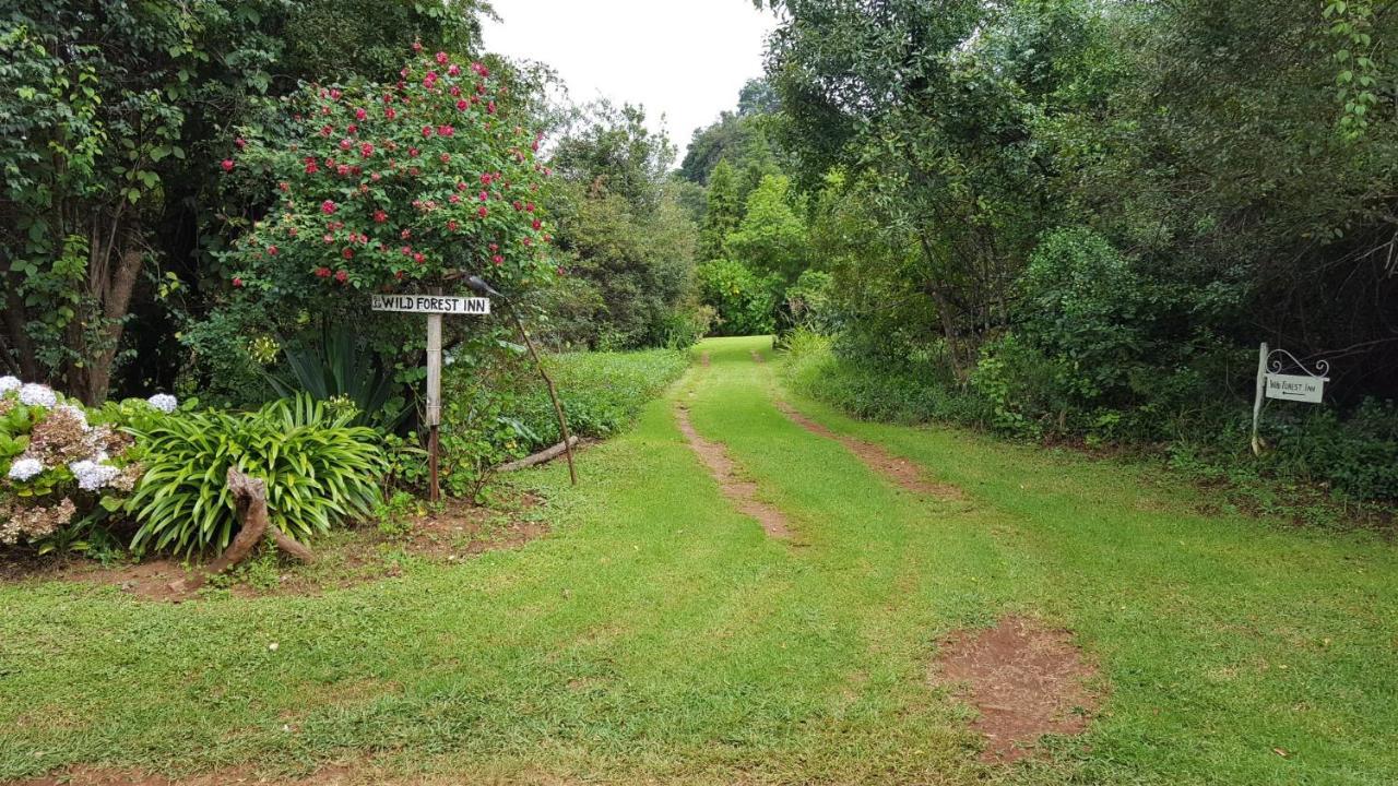 Wild Forest Inn Graskop Esterno foto