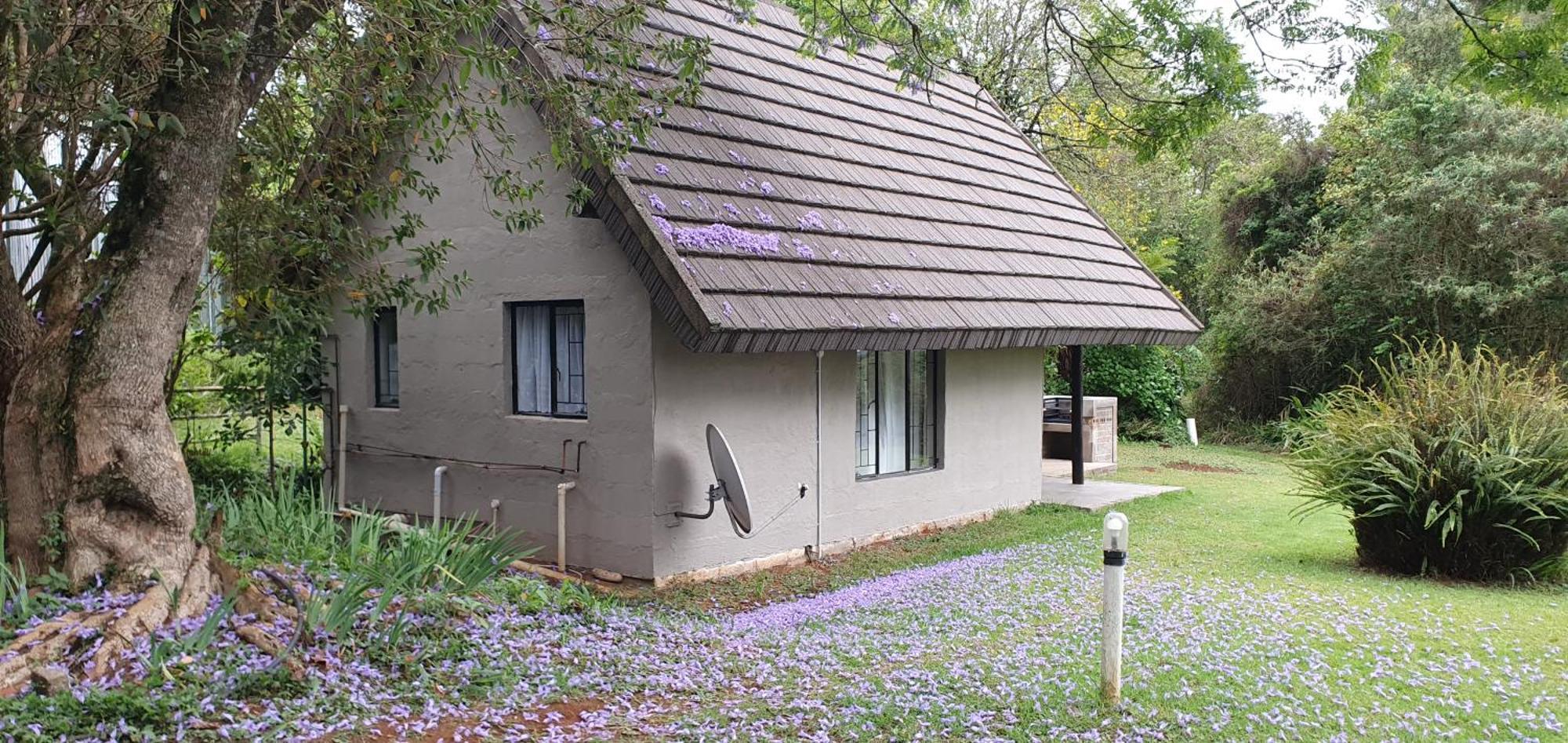 Wild Forest Inn Graskop Esterno foto